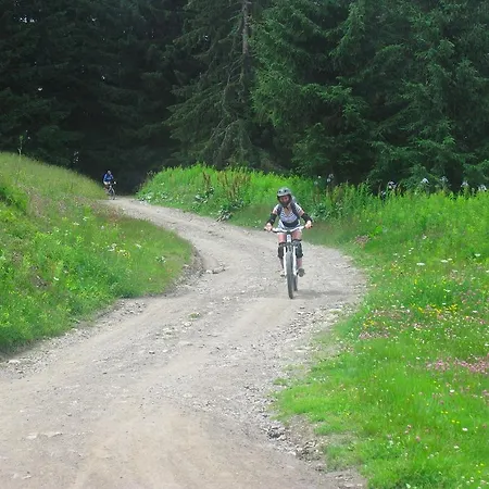 Chalet Setanta Morillon